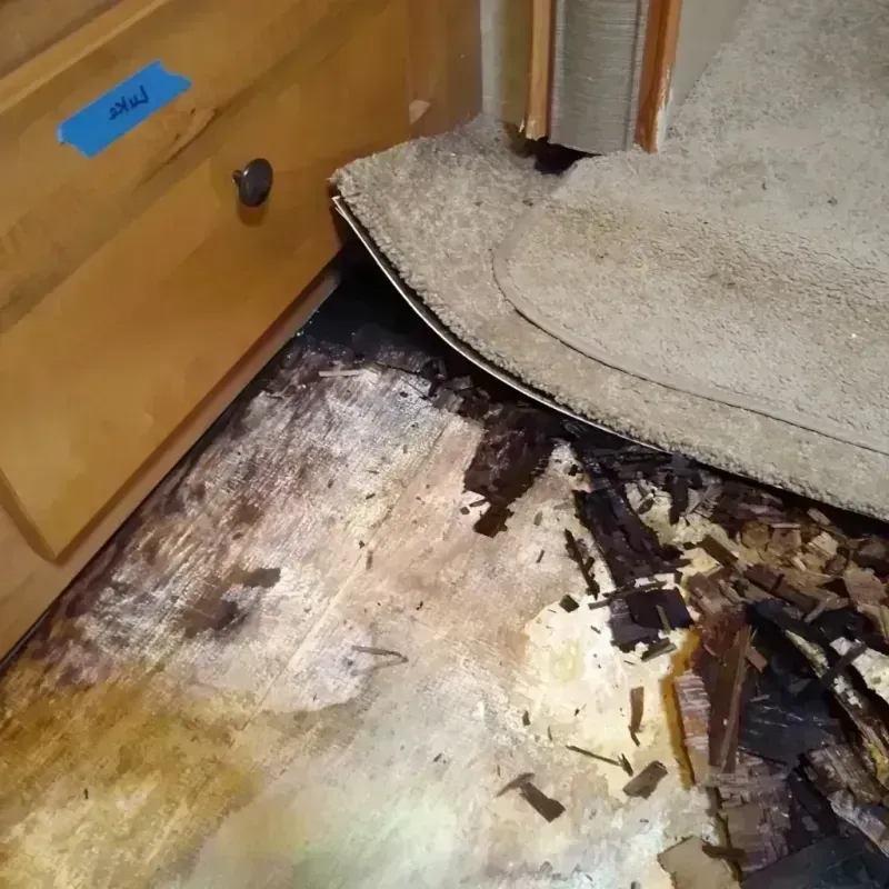 Best Wood Floor Water Damage Service in Sauk Village, IL